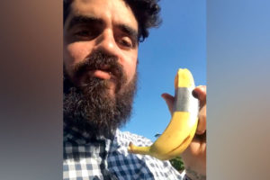 banana artista