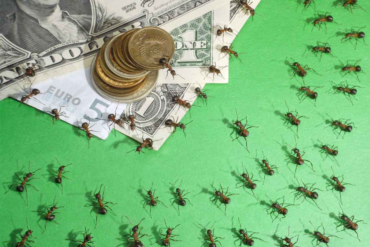 gastos hormigas